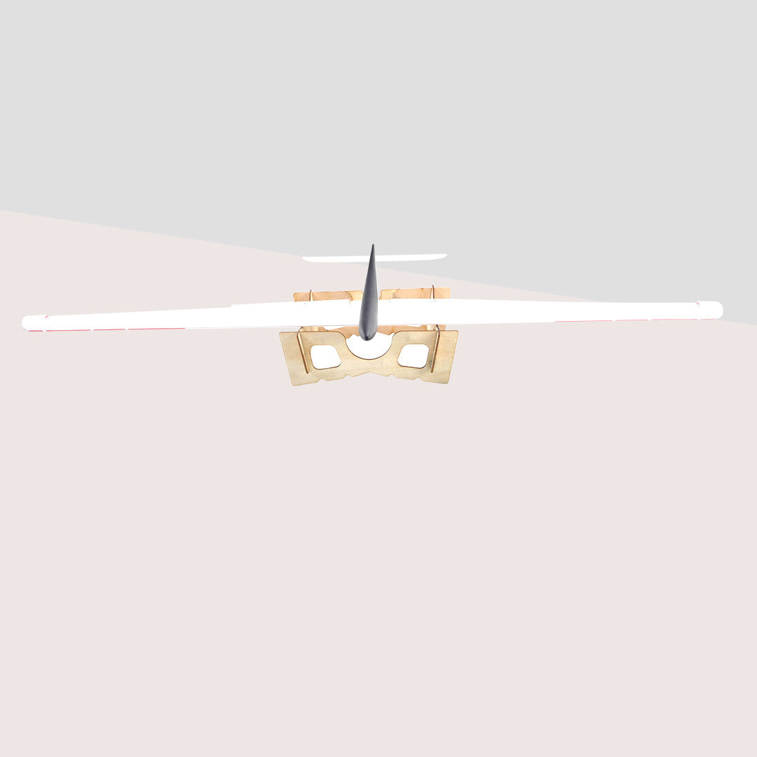 The Speedo (with flaps) RC Slope Glider 1.2M Wing Span