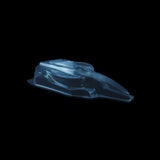 1/10 Lexan Clear RC Car Body Shell for F23  F1 BODY