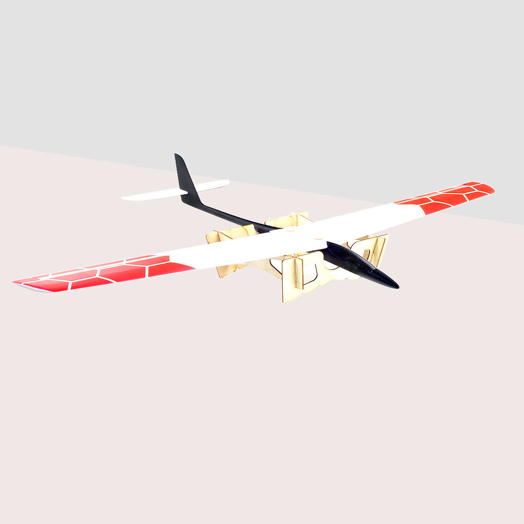 The Speedo (with flaps) RC Slope Glider 1.2M Wing Span