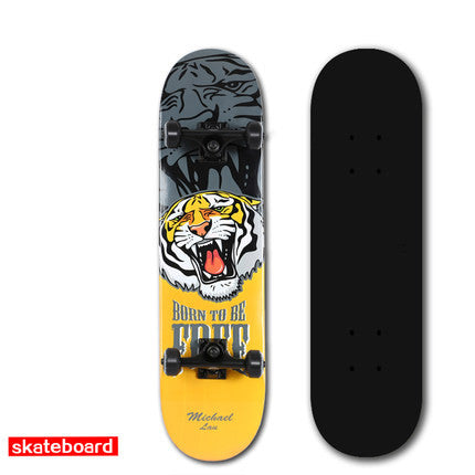 SK-CL Professional long board double rocker