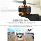 Walkera Furious 320 Drone Quadcopte/Charger/ 800TVL Camera(Right Hand Throttle)