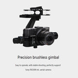Walkera G-3S 3 Axis Brushless Gimbal For Sony RX100 II camera (X800)