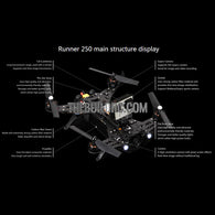 Walkera Runner 250 Racer Bare Bone DIY kit