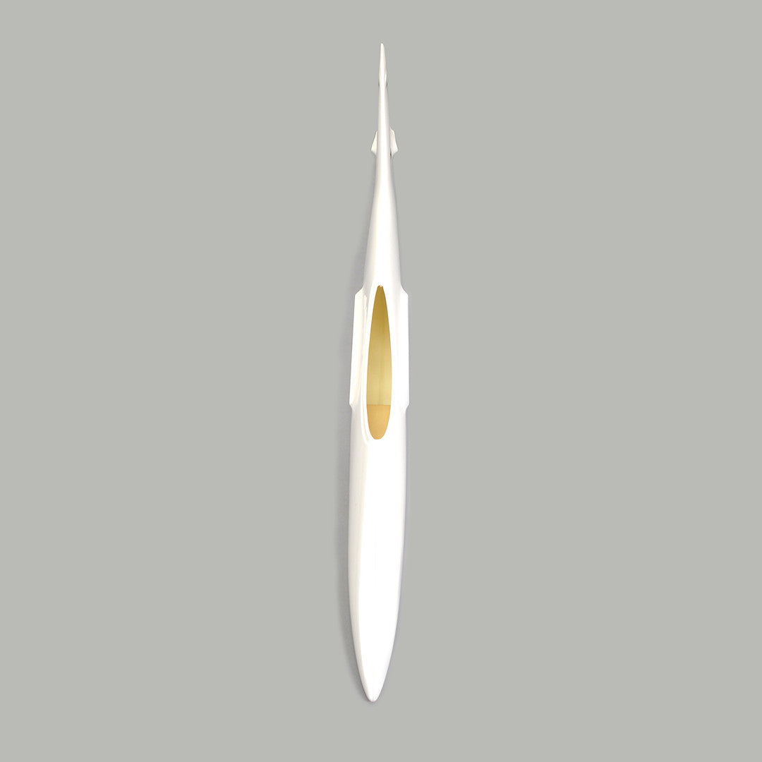 The Pincho High Speed Slope Sports Glider
