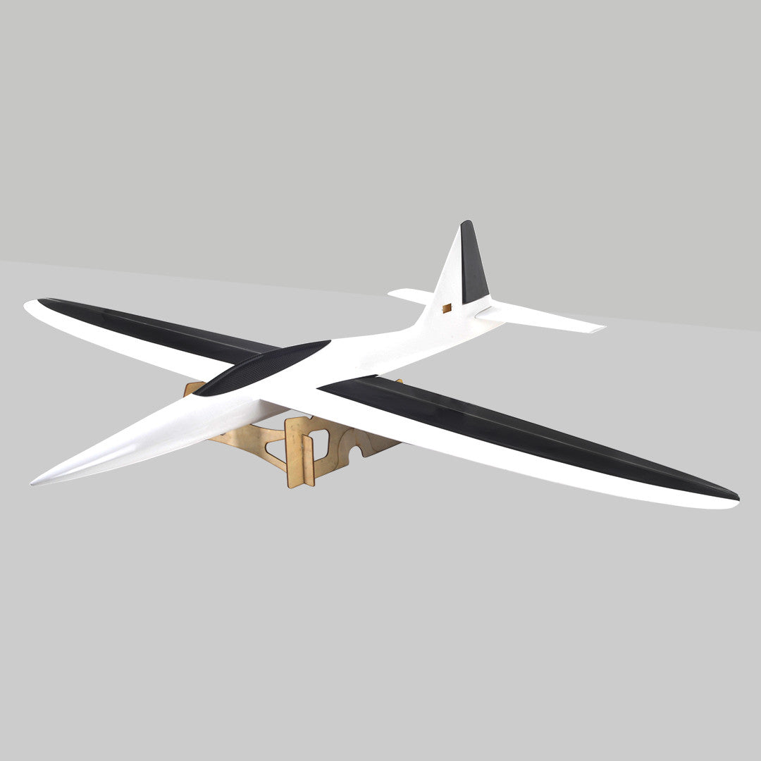 The Pincho High Speed Slope Sports Glider