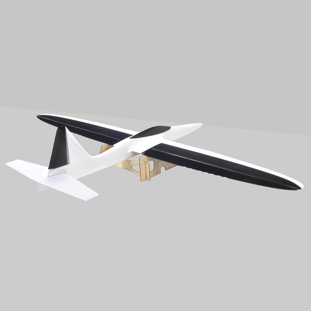 The Pincho High Speed Slope Sports Glider