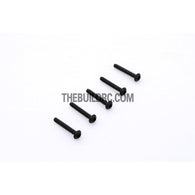 TR-095 - TM screw(M2*13mm)