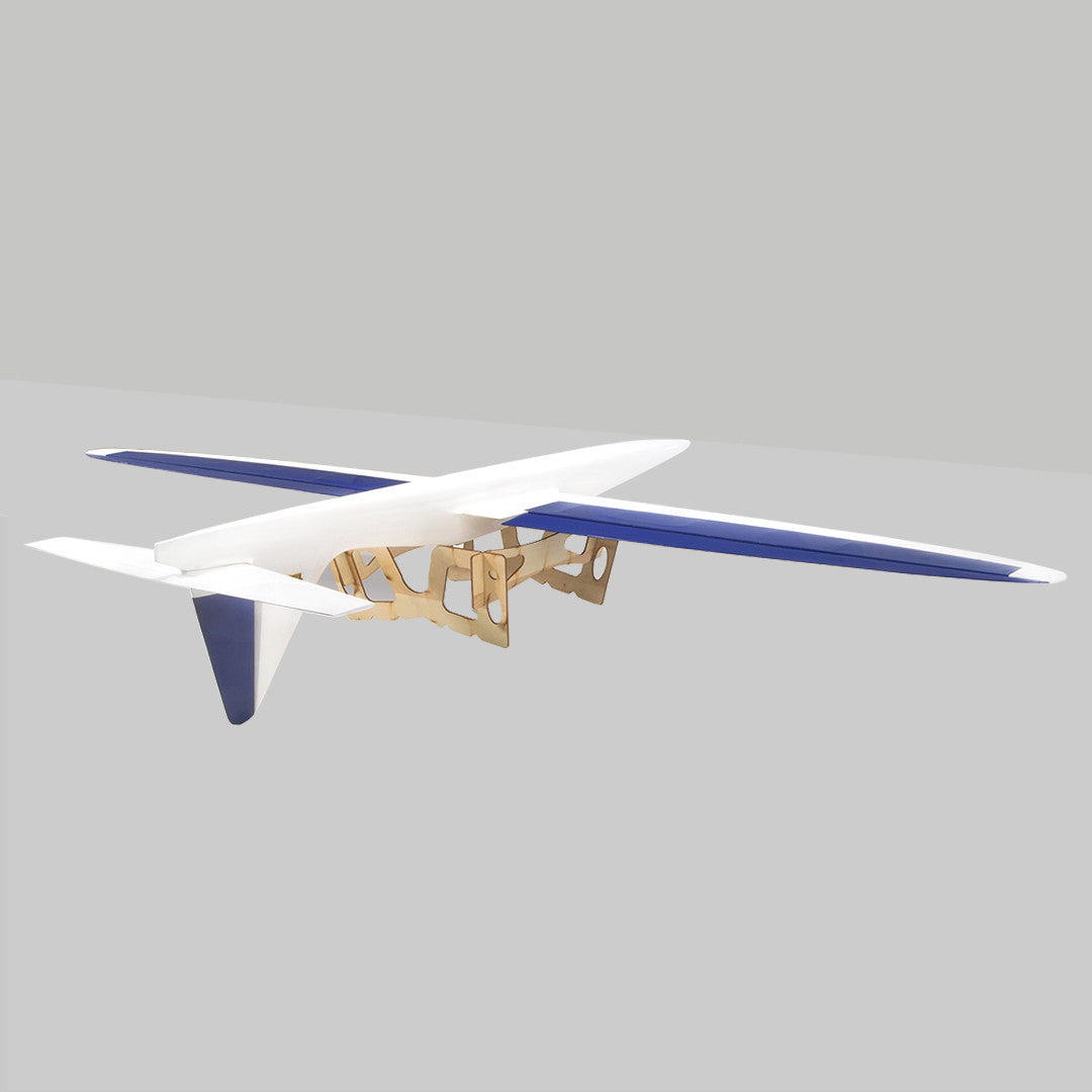 The Pincho High Speed Slope Sports Glider