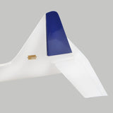 The Pincho High Speed Slope Sports Glider