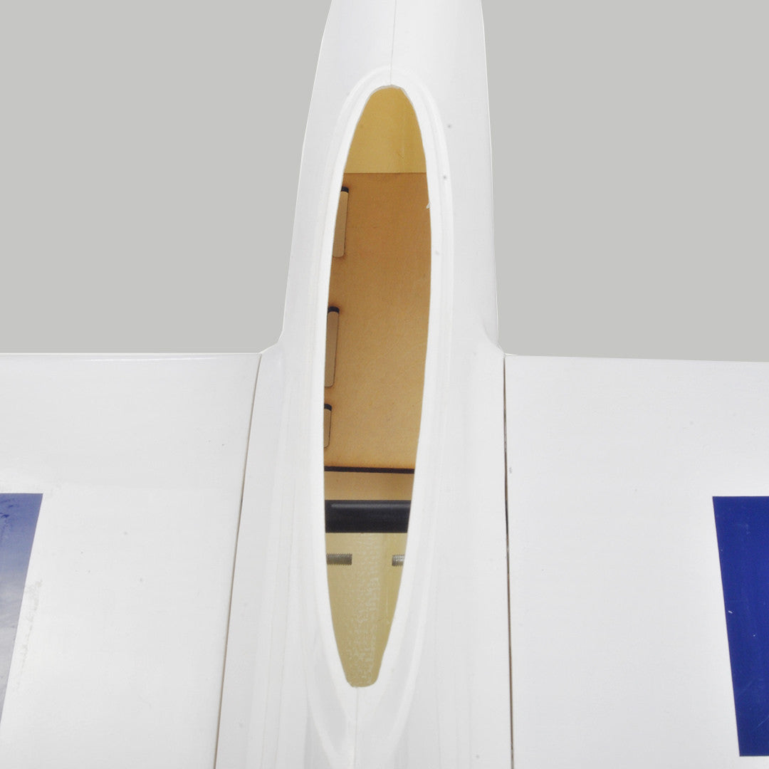 The Pincho High Speed Slope Sports Glider