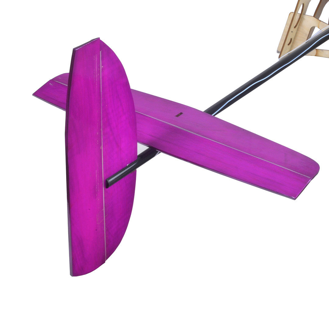 The AG4XXXX SPECTRE I Soaring Thermal DLG Glider
