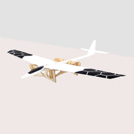 The Speedo (with flaps) RC Slope Glider 1.2M Wing Span