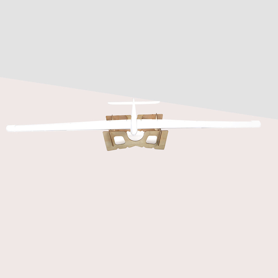 The Speedo (with flaps) RC Slope Glider 1.2M Wing Span