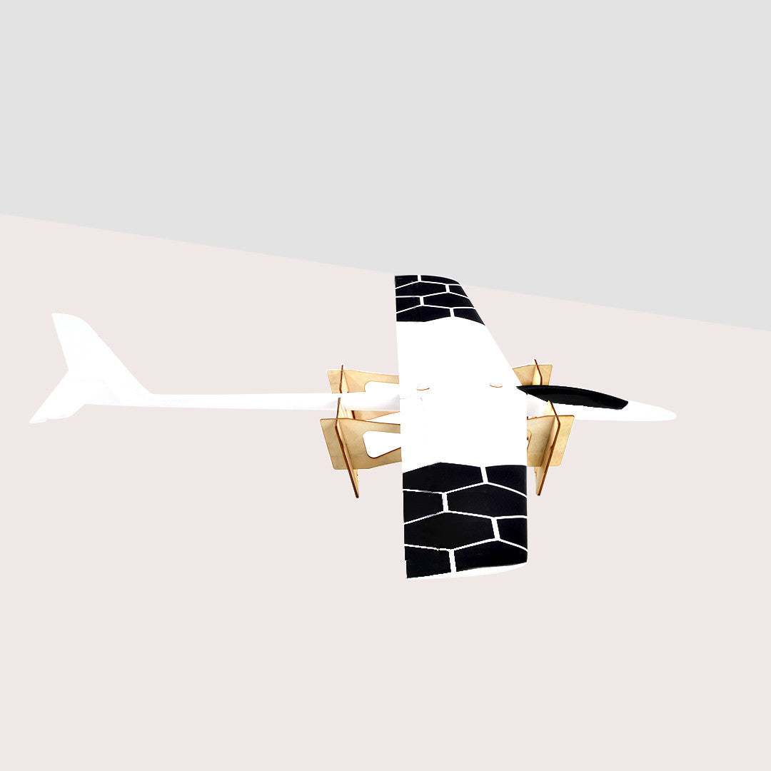 The Speedo (with flaps) RC Slope Glider 1.2M Wing Span