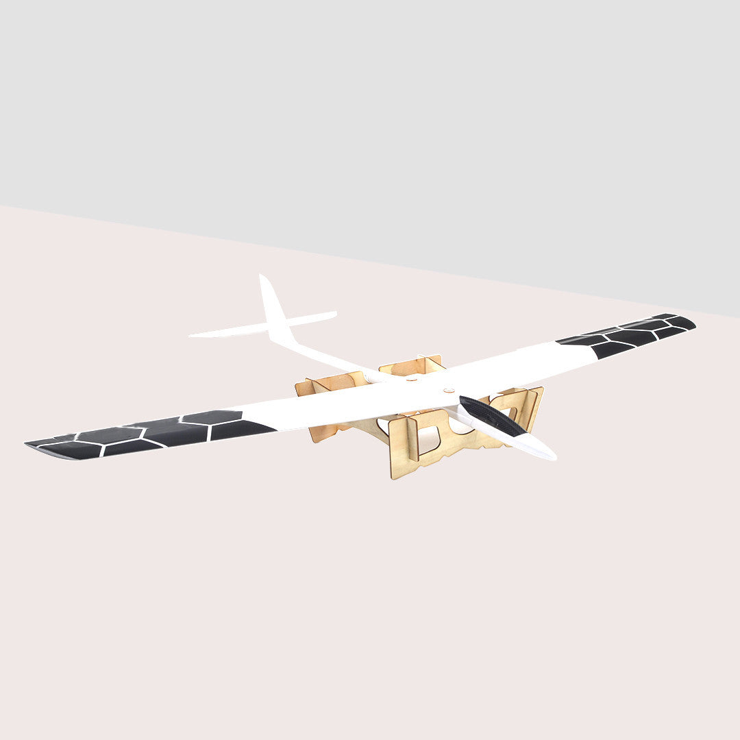 The Speedo (with flaps) RC Slope Glider 1.2M Wing Span